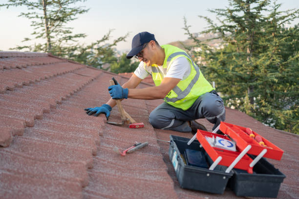 Best Roof Gutter Cleaning  in Midway South, TX
