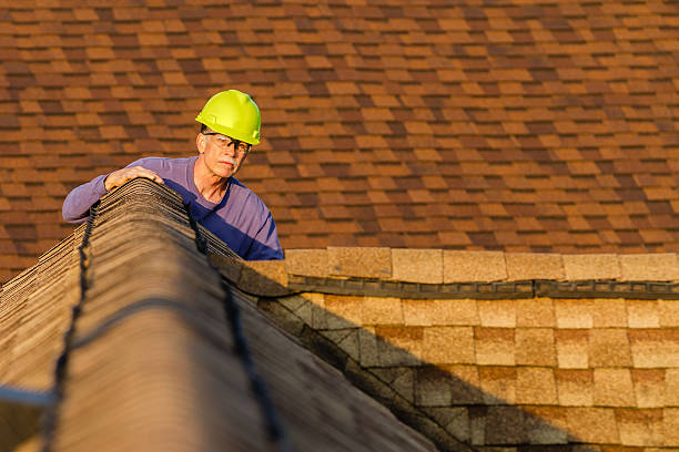 Roof Gutter Cleaning in Midway South, TX